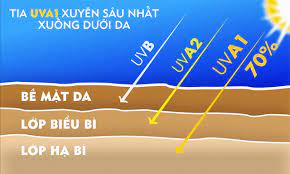 BỨC XẠ TỬ NGOẠI - GIỚI HẠN CHO PHÉP